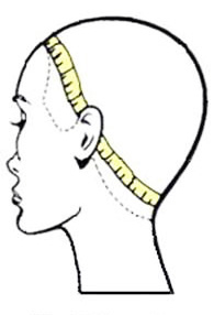 head measuring